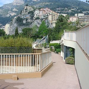 Jardin Animalier 2005 - General menagerie scene