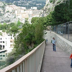 Jardin Animalier 2005 - General menagerie scene