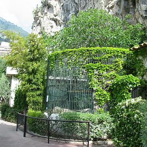 Jardin Animalier 2005 - Big cat cages