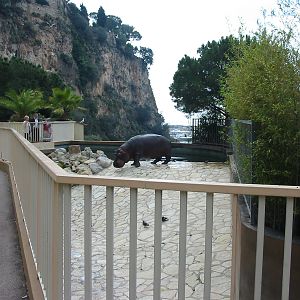 Jardin Animalier 2005 - Part of the tiny Hippopotamus exhibit