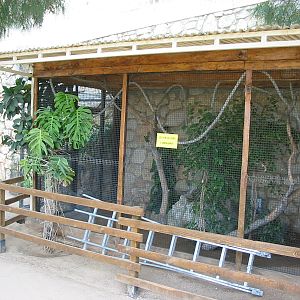 Jardin Animalier 2005 - Bird cage