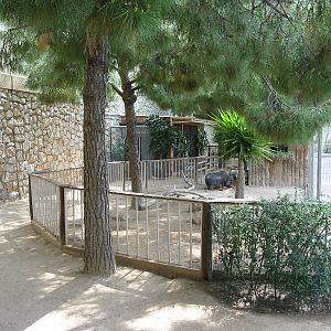 Jardin Animalier 2005 - Pot Bellied Pig enclosure