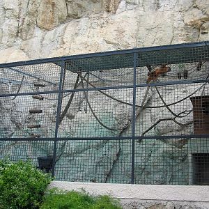 Jardin Animalier 2005 - Monkey cage