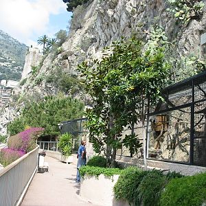 Jardin Animalier 2005 - General menagerie scene