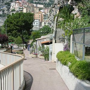 Jardin Animalier 2005 - General menagerie scene