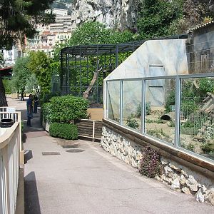 Jardin Animalier 2005 - General menagerie scene