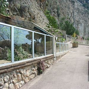 Jardin Animalier 2005 - General menagerie scene