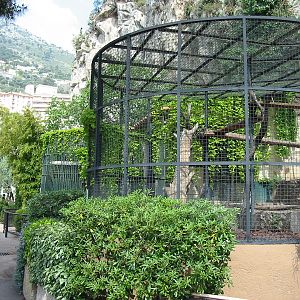 Jardin Animalier 2005 - Big cat cages