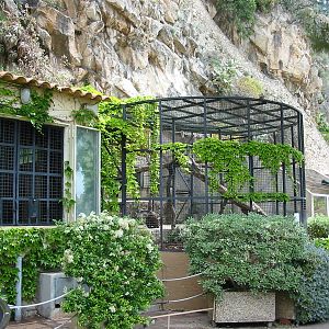 Jardin Animalier 2005 - Big cat cages