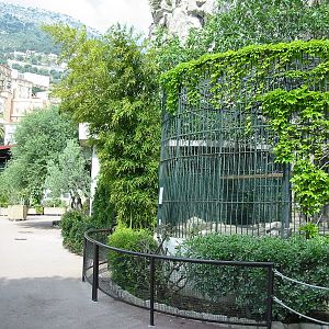Jardin Animalier 2005 - Big cat cages