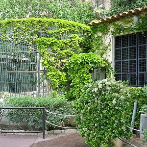 Jardin Animalier 2005 - Big cat cages