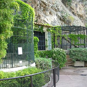 Jardin Animalier 2005 - Big cat cages