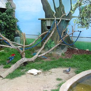 Jardin Animalier 2005 - Macaw exhibit outside the Vivarium