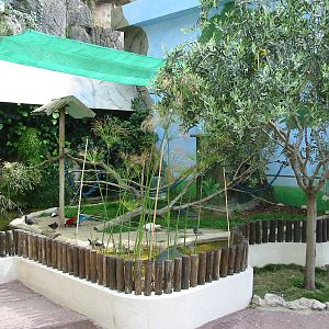 Jardin Animalier 2005 - Macaw exhibit outside the Vivarium