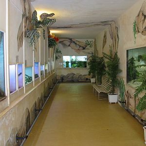 Jardin Animalier 2005 - Inside the Vivarium