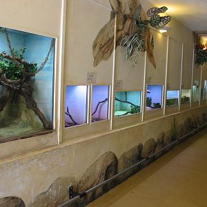 Jardin Animalier 2005 - Inside the Vivarium