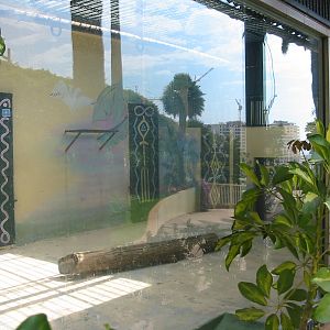 Jardin Animalier 2005 - White Tiger cage