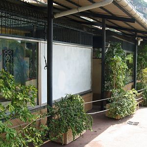 Jardin Animalier 2005 - White Tiger cage