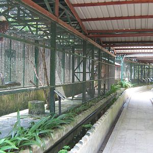 bird aviaries