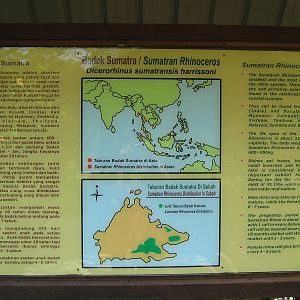 signage for Sumatran rhino (Dicerorhinus sumatrensis harrissoni)