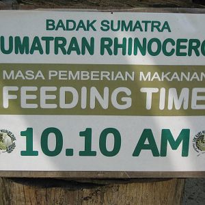 sign for Sumatran rhino feeding time