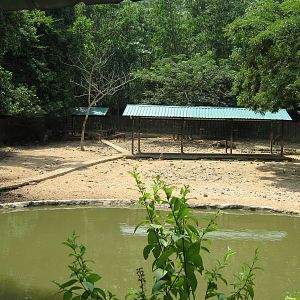 Sumatran rhino enclosure