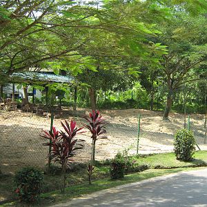 paddock for rusa (Cervus timorensis)