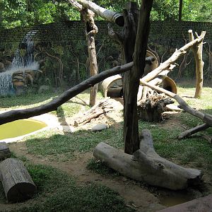 sun bear enclosure