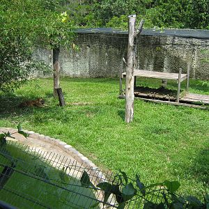 tiger enclosure from the upper viewing area