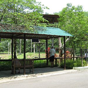 public viewing area in front of the orang-utan island