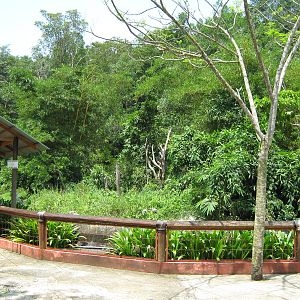 public viewing area in front of the gibbon island