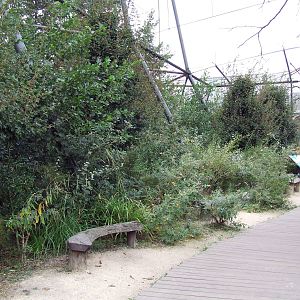 Migratory Birds aviary photos, Wetlands