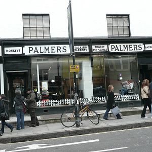Palmers Pet Shop - Camden Town