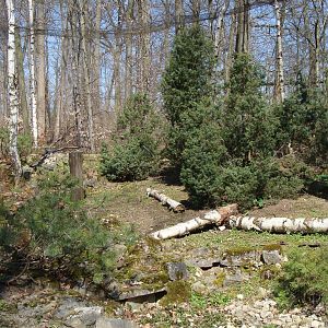 snow owl walktrough aviary