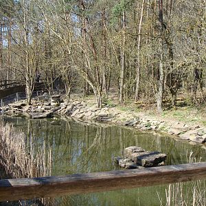 european otter exhibit