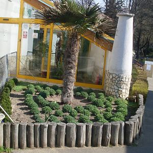 The entrance of the Palm House
