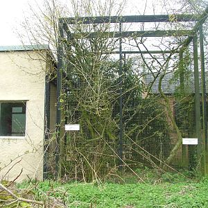 Gentle Lemur exhibit at Linton 05/04/10