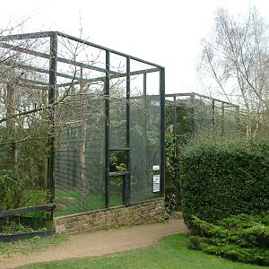 Owl aviaries at Linton 05/04/10
