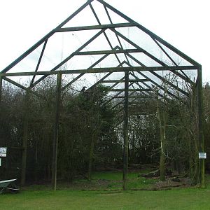 Hornbill aviary at Linton 05/04/10
