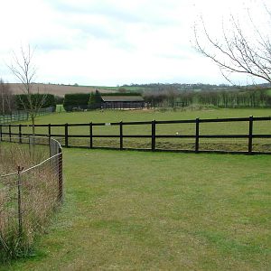 Zebra paddock at Linton 05/04/10