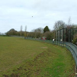 Zebra paddock and avairies at Linton 05/04/10