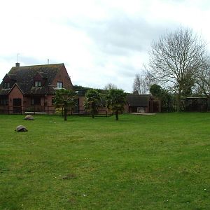Aldabran Giant Tortoise exhibit at Linton 05/04/10