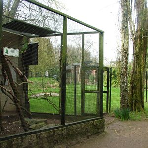 Bird exhibits at Linton 05/04/10