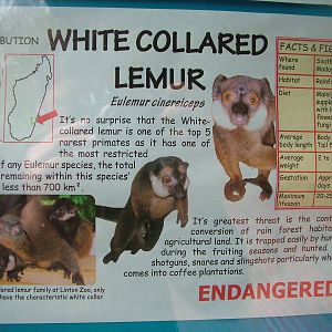 Signage example at Linton 05/04/10