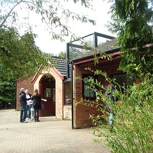 Lemur complex at Linton 05/04/10