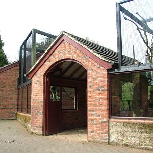 Lemur complex at Linton 05/04/10