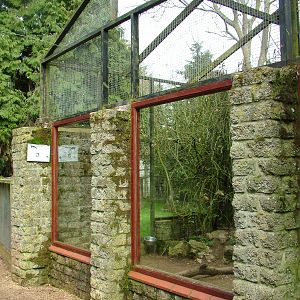 Binturong exhibit at Linton 05/04/10