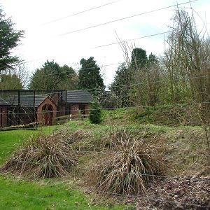 Open-topped lemur exhibit at Linton 05/04/10