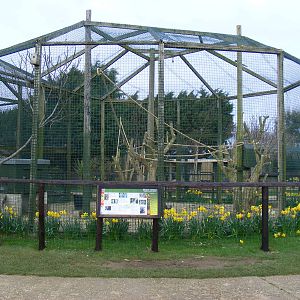 Black lemur enclosure at Isle of Wight Zoo, 5 April 2010