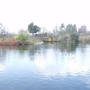 Dublin zoos huge lake